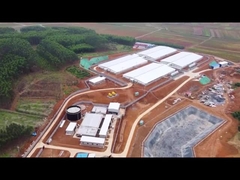 피니싱 공급 장치와 펜 새끼 돼지 보육 학교 나무상자를 살찌우는 PVC 패널 울타리