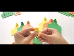 OEM ODM 축산 ID는 젖소들 11*7.5cm을 위한 열 가소성 폴리우레탄 수지 맞춘 귀 표지를 태깅합니다