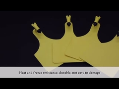 PP PE 가축 ID는 소 방습을 위한 인그레이버블 귀 표지를 태깅합니다